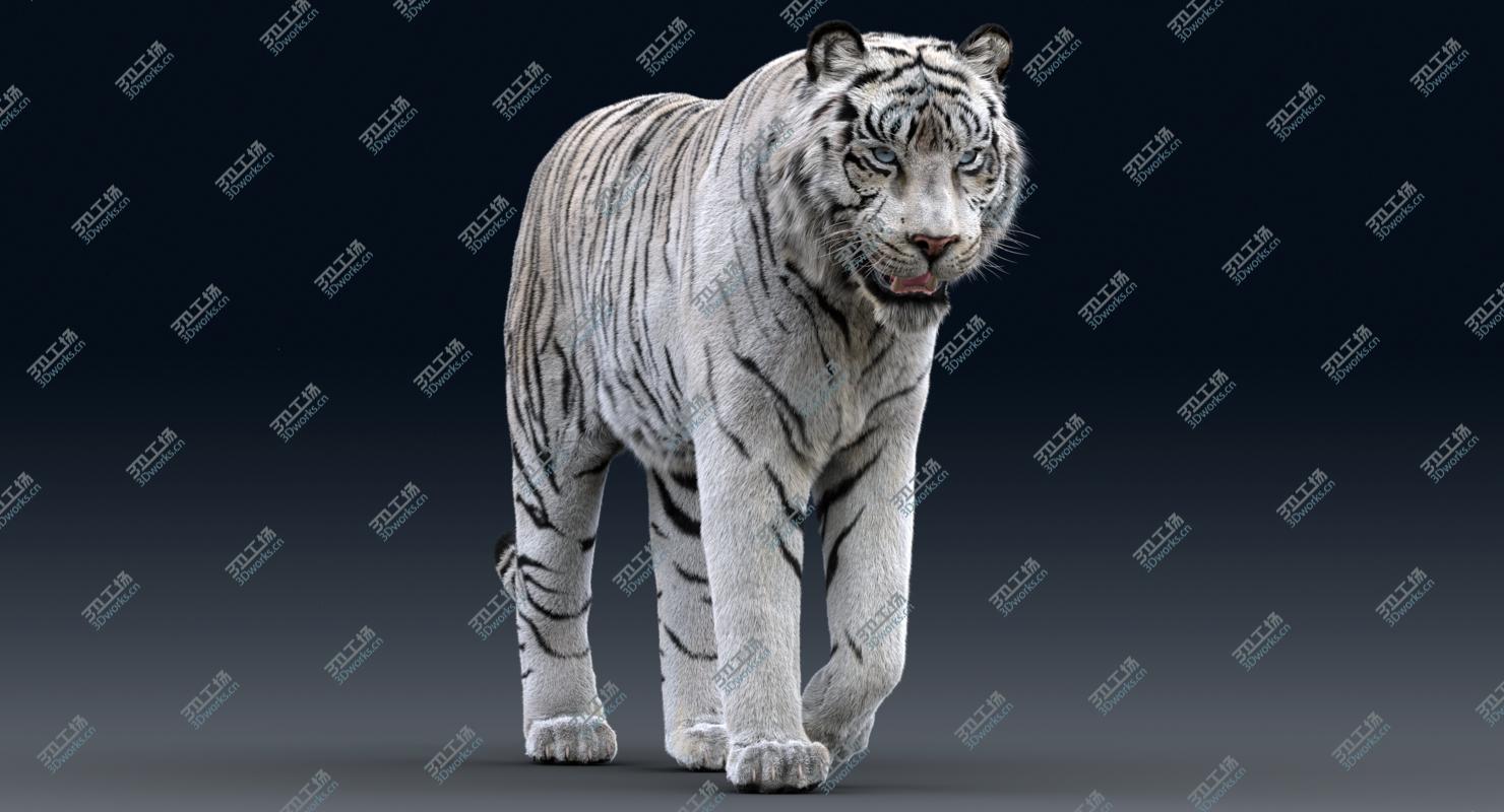 images/goods_img/2021040235/white Tiger(Rigged, FUR) 3D model/3.jpg
